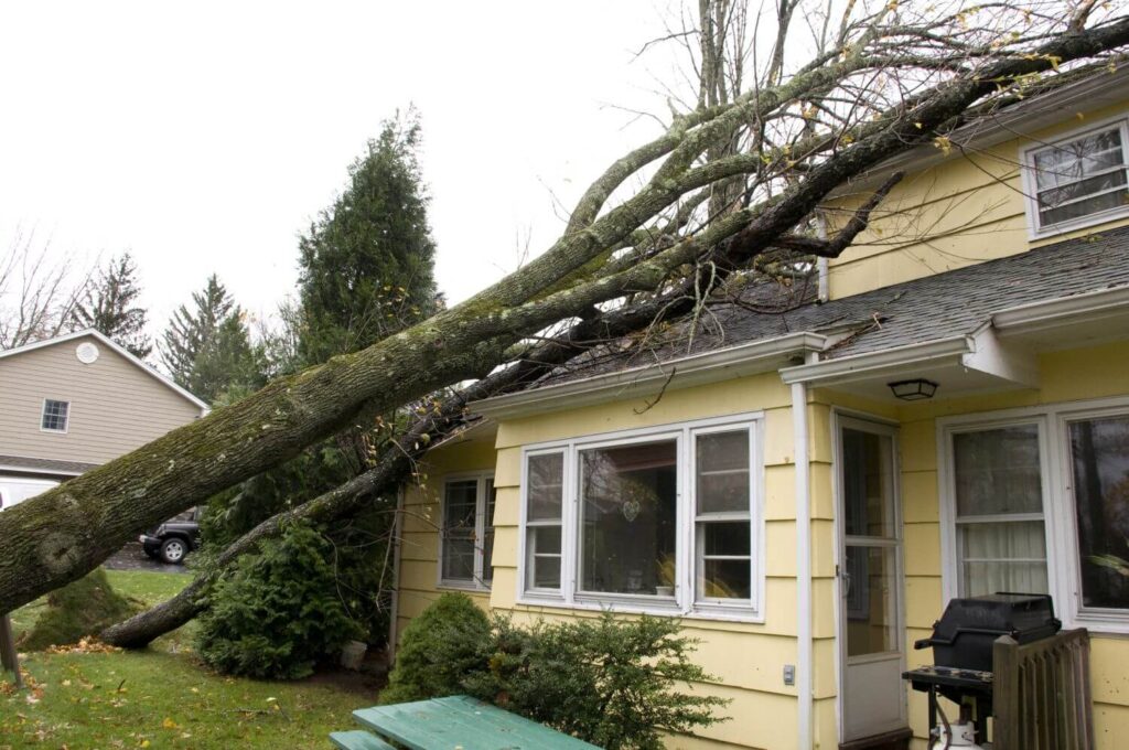 Storm-damaged tree fallen against a house roof in Toms River, New Jersey.